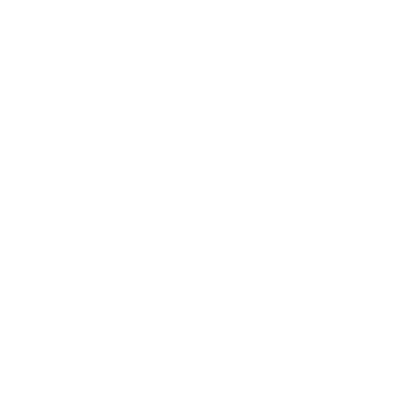 Party